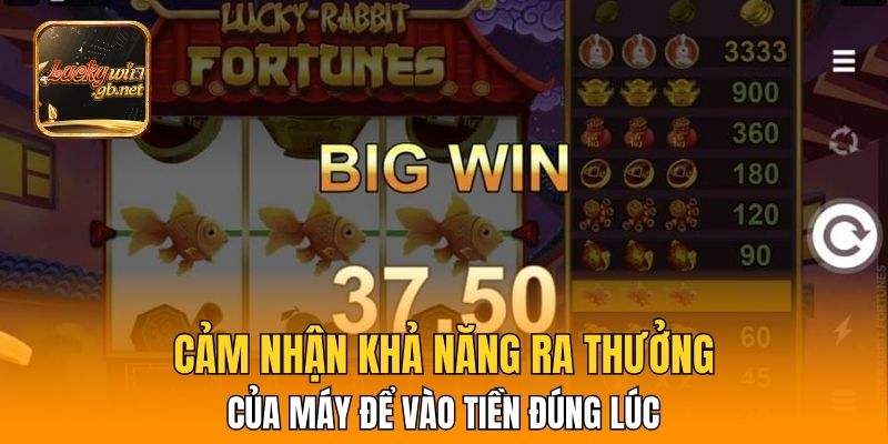 Cảm nhận khả năng ra thưởng của máy để vào tiền đúng lúc